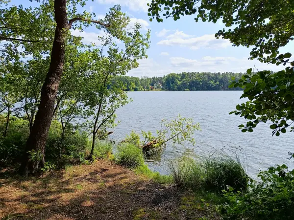 202506110-10 - Sidowsee bei Himmelpfort, Ruppiner Seenland, Brandenburg, Deutschland