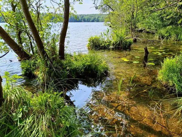 202506110-11 - Sidowsee bei Himmelpfort, Ruppiner Seenland, Brandenburg, Deutschland