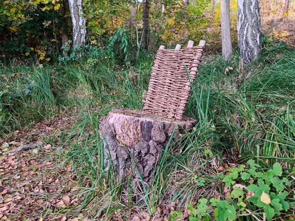 202310250-22 - Sitzplatz bei Emstal, Fläming, Brandenburg, Deutschland