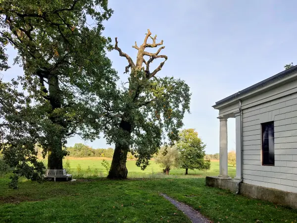 202310110-37 - Solitude am Sieglitzer Berg bei Vockerode, Anhalt-Dessau-Wittenberg, Sachen-Anhalt, Deutschland