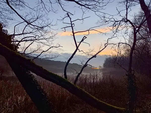202512200-07 - Sonnenuntergang an der Krummen Lanke, Berlin, Deutschland