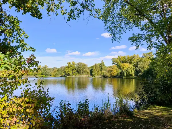 202210040-32 - Spielmannsteich in Braunschweig, Niedersachsen, Deutschland