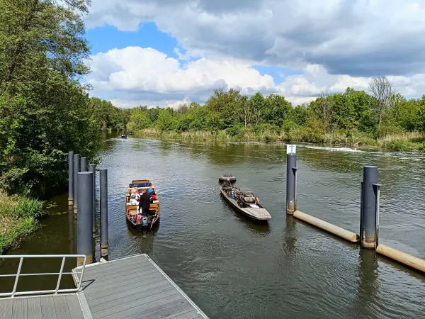 202605160-12 - Spree an der Wehranlage Hartmannsdorf, Spreewald, Brandenburg, Deutschland