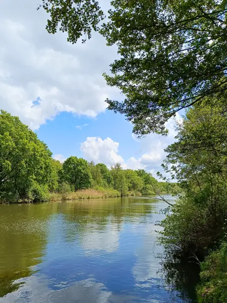 202605160-14 - Spree bei Hartmannsdorf, Spreewald, Brandenburg, Deutschland