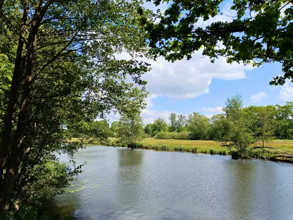 202605160-16 - Spree bei Hartmannsdorf, Spreewald, Brandenburg, Deutschland