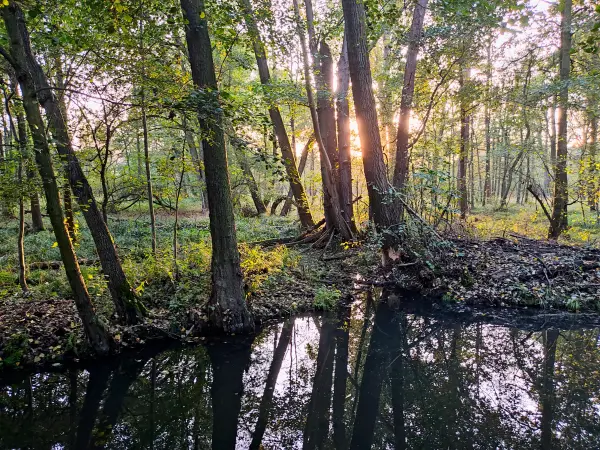 202310230-45 - Spreewaldfließ bei Lehde, Spreewald, Brandenburg, Deutschland