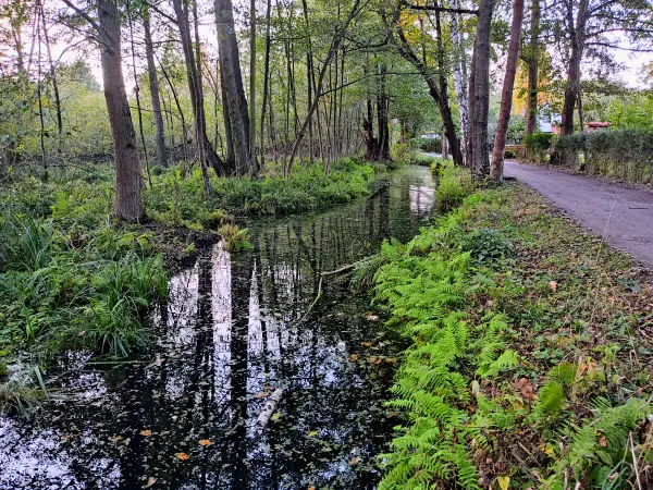 202310230-46 - Spreewaldfließ bei Lübbenau, Spreewald, Brandenburg, Deutschland