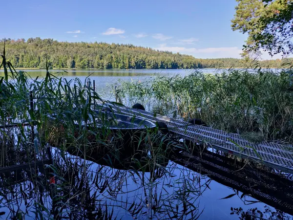 202309160-17 - Springsee bei Limsdorf, Seenland Oder-Spree, Brandenburg, Deutschland