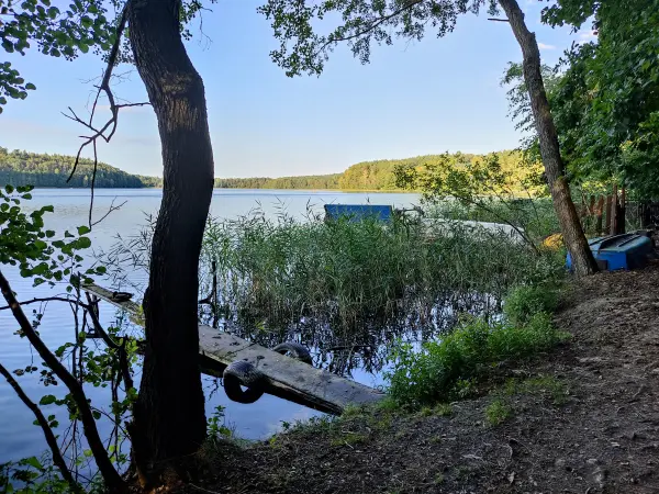 202309160-31 - Springsee bei Limsdorf, Seenland Oder-Spree, Brandenburg, Deutschland