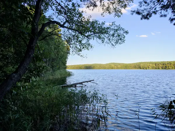 202309160-32 - Springsee bei Limsdorf, Seenland Oder-Spree, Brandenburg, Deutschland