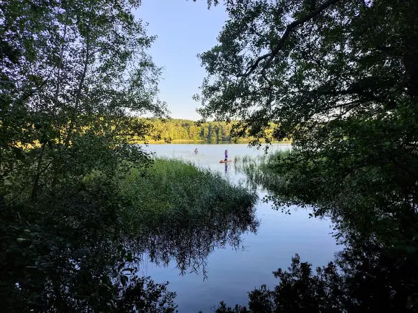 202309160-33 - Springsee bei Limsdorf, Seenland Oder-Spree, Brandenburg, Deutschland