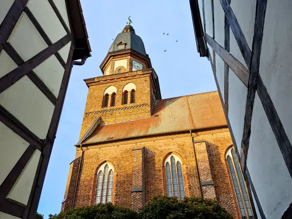 202310300-33 - St. Marien in Waren, Mecklenburgische Seenplatte, Mecklenburg-Vorpommern, Deutschland