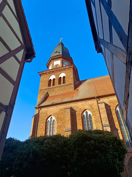 202510180-27 - St. Marien in Waren, Mecklenburgische Seenplatte, Mecklenburg-Vorpommern, Deutschland