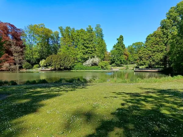 202604231-05 - Stadtgartenweiher im Alten Stadtgarten in Neuss, Niederrhein, Nordrhein-Westfalen, Deutschland