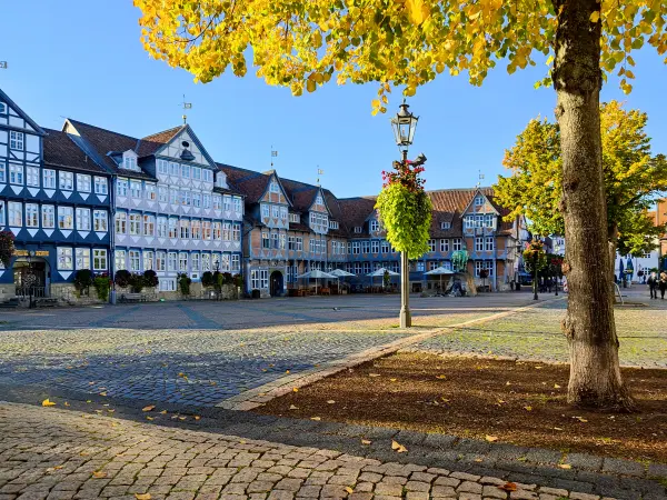 202210040-57 - Stadtmarkt in Wolfenbüttel, Niedersachsen, Deutschland