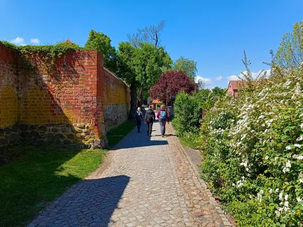 202605090-09 - Stadtmauer in Angermünde, Uckermark, Brandenburg, Deutschland