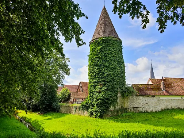 202308150-01 - Stadtmauer mit Wehrturm in Lügde, Weserbergland, Nordrhein-Westfalen, Deutschland