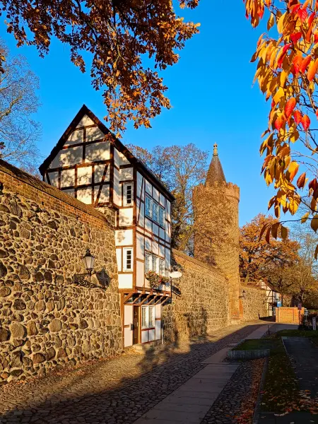 202511071-01 - Stadtmauer mit Wiekhaus und Fangelturm in Neubrandenburg, Mecklenburgische Seenplatte, Mecklenburg-Vorpommern, Deutschland