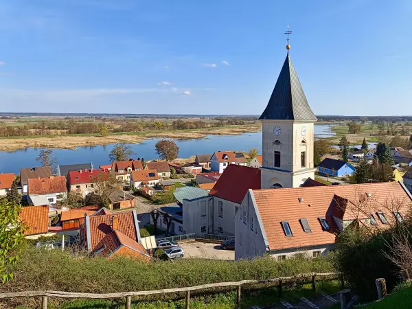 202604150-34 - Stadtpfarrkirche St. Marien in Lebus, Seenland Oder-Spree, Brandenburg, Deutschland