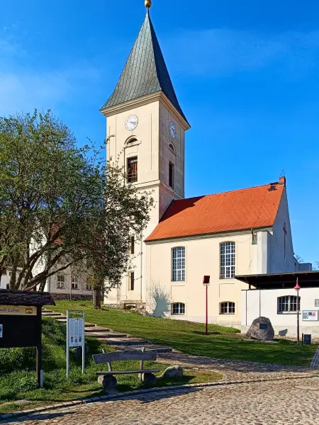 202604150-35 - Stadtpfarrkirche St. Marien in Lebus, Seenland Oder-Spree, Brandenburg, Deutschland