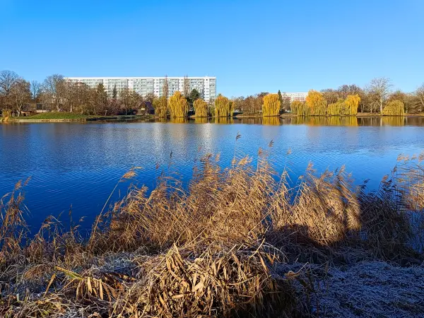 202511210-01 - Stadtsee in Stendal, Altmark, Sachsen-Anhalt, Deutschland