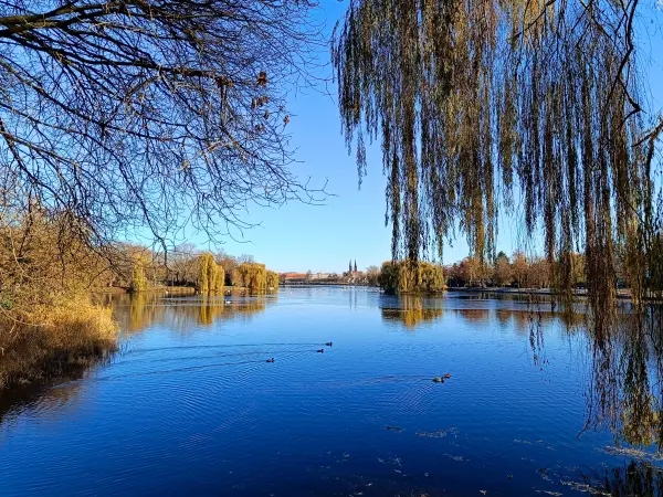 202511210-04 - Stadtsee in Stendal, Altmark, Sachsen-Anhalt, Deutschland
