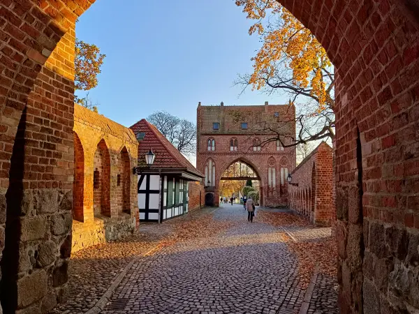 202511071-08 - Stargarder Tor in Neubrandenburg, Mecklenburgische Seenplatte, Mecklenburg-Vorpommern, Deutschland