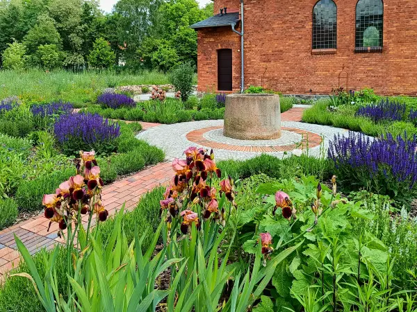 202505310-06 - Staudengarten am Gut Schmerwitz, Fläming, Brandenburg, Deutschland