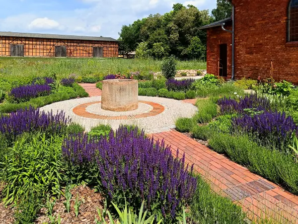 202505310-07 - Staudengarten am Gut Schmerwitz, Fläming, Brandenburg, Deutschland