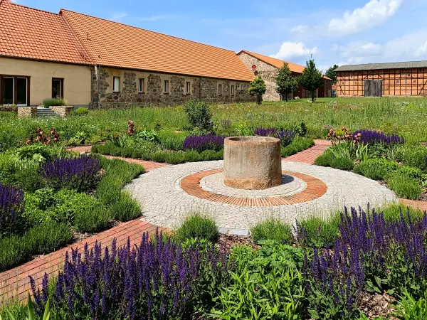 202505310-08 - Staudengarten am Gut Schmerwitz, Fläming, Brandenburg, Deutschland
