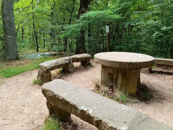 202508230-17 - Steinerner Tisch in den Rauener Bergen, Seenland Oder-Spree, Brandenburg, Deutschland