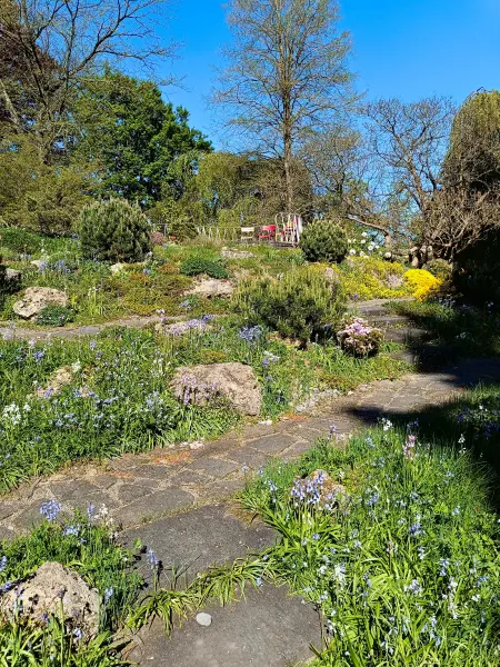 202604231-01 - Steingarten im Botanischen Garten in Neuss, Niederrhein, Nordrhein-Westfalen, Deutschland