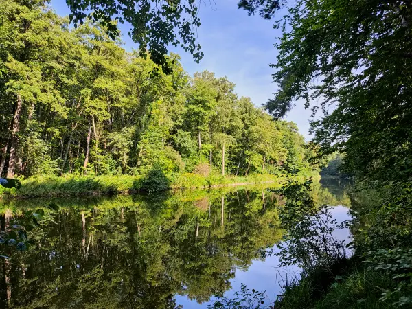 202309110-05 - Steinhavel bei Fürstenberg, Ruppiner Seenland, Brandenburg, Deutschland