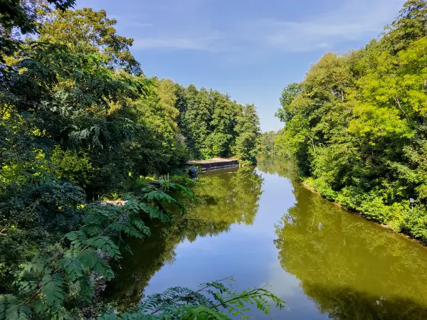 202309110-11 - Steinhavel bei Steinförde, Ruppiner Seenland, Brandenburg, Deutschland