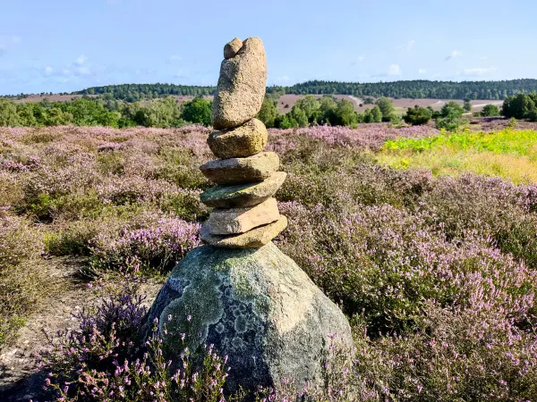 202308210-04 - Steinmännchen am Turmberg bei Overhaverbeck, Lüneburger Heide, Niedersachsen, Deutschland