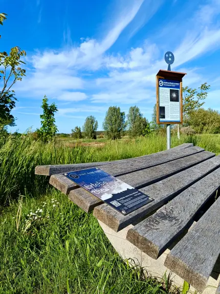 202605270-33 - Sternenbeobachtungspunkt bei Dobbin, Mecklenburgische Seenplatte, Mecklenburg-Vorpommern, Deutschland