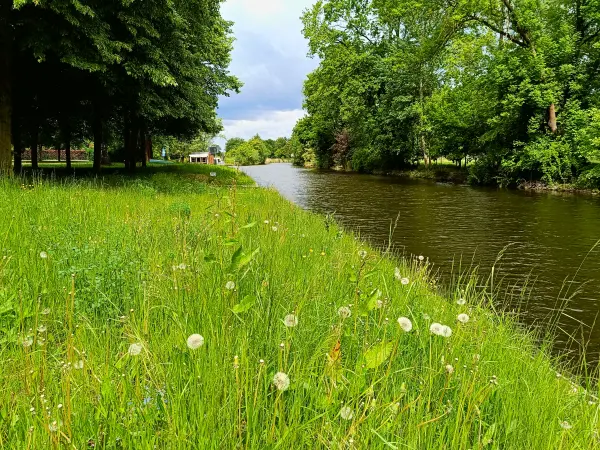 202505170-16 - Storkower Kanal bei Philadelphia, Seenland Oder-Spree, Brandenburg, Deutschland