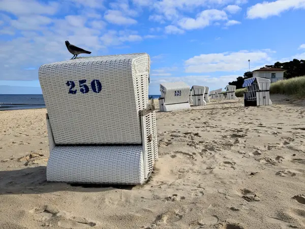 202310170-23 - Strandkörbe am Ostseestrand bei Zempin, Usedom, Mecklenburg-Vorpommern, Deutschland