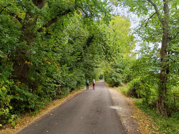 202609040-09 - Straße nach Blankensee, Fläming, Brandenburg, Deutschland