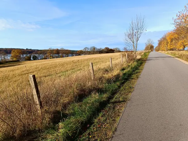 202511050-19 - Straße nach Groß Labenz, Mecklenburgische Seenplatte, Mecklenburg-Vorpommern, Deutschland