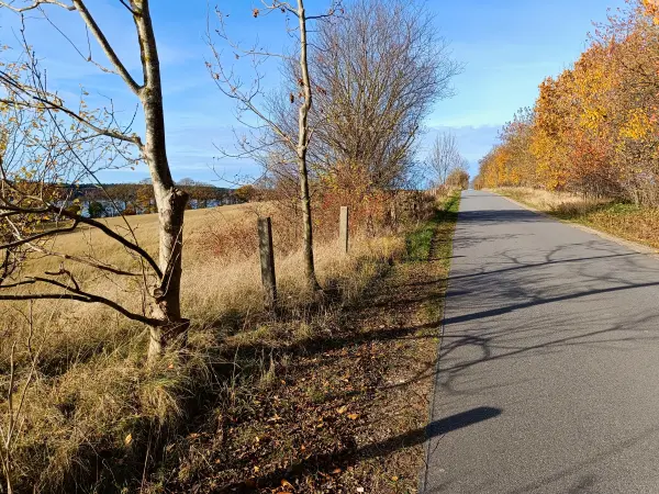 202511050-20 - Straße nach Groß Labenz, Mecklenburgische Seenplatte, Mecklenburg-Vorpommern, Deutschland