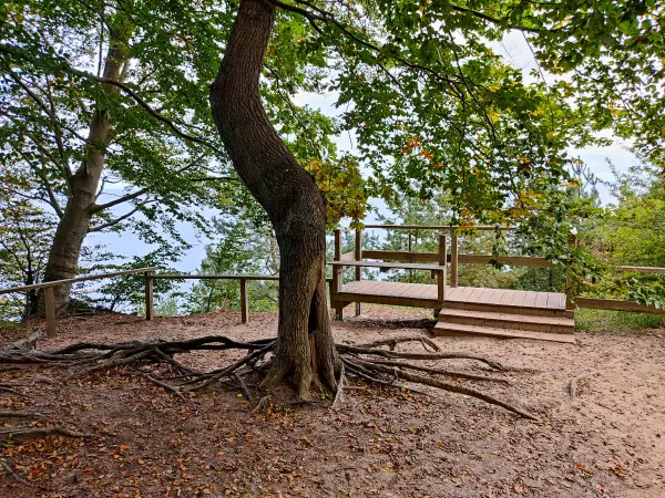 202310170-48 - Streckelsberg bei Koserow, Usedom, Mecklenburg-Vorpommern, Deutschland