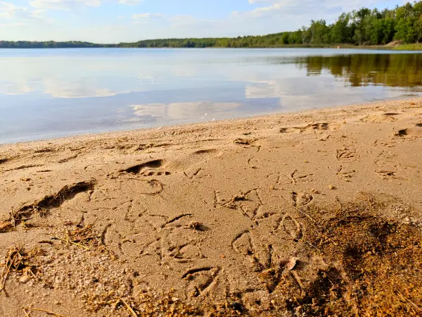 202309150-25 - Südsee am Senftenberger See zwischen Großkoschen und Niemtsch, Lausitz, Brandenburg, Deutschland