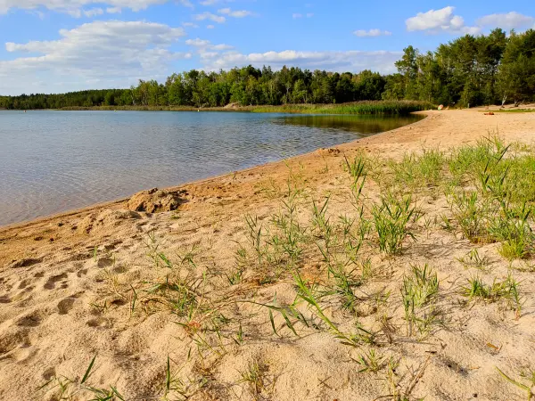 202309150-26 - Südsee am Senftenberger See zwischen Großkoschen und Niemtsch, Lausitz, Brandenburg, Deutschland