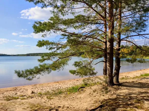 202309150-27 - Südsee am Senftenberger See zwischen Großkoschen und Niemtsch, Lausitz, Brandenburg, Deutschland