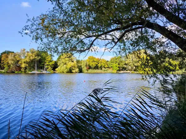 202210040-34 - Südsee in Braunschweig, Niedersachsen, Deutschland