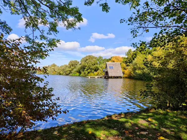 202210040-35 - Südsee in Braunschweig, Niedersachsen, Deutschland