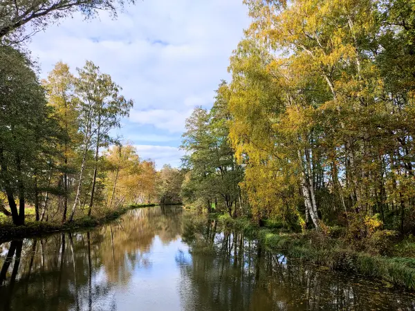 202311040-35 - Südumfluter bei Boblitz, Spreewald, Brandenburg, Deutschland