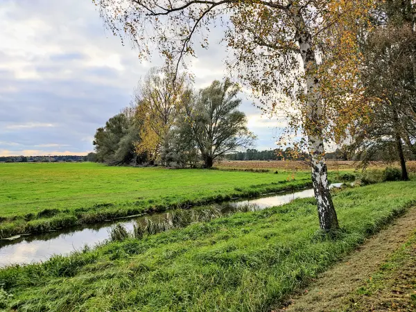202311040-38 - Südumfluter bei Raddusch, Spreewald, Brandenburg, Deutschland