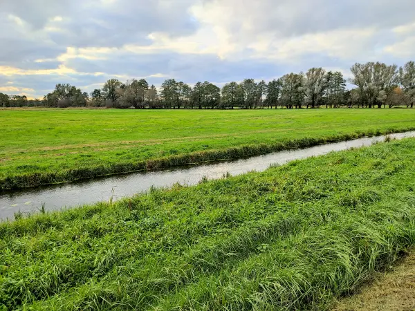202311040-40 - Südumfluter bei Raddusch, Spreewald, Brandenburg, Deutschland